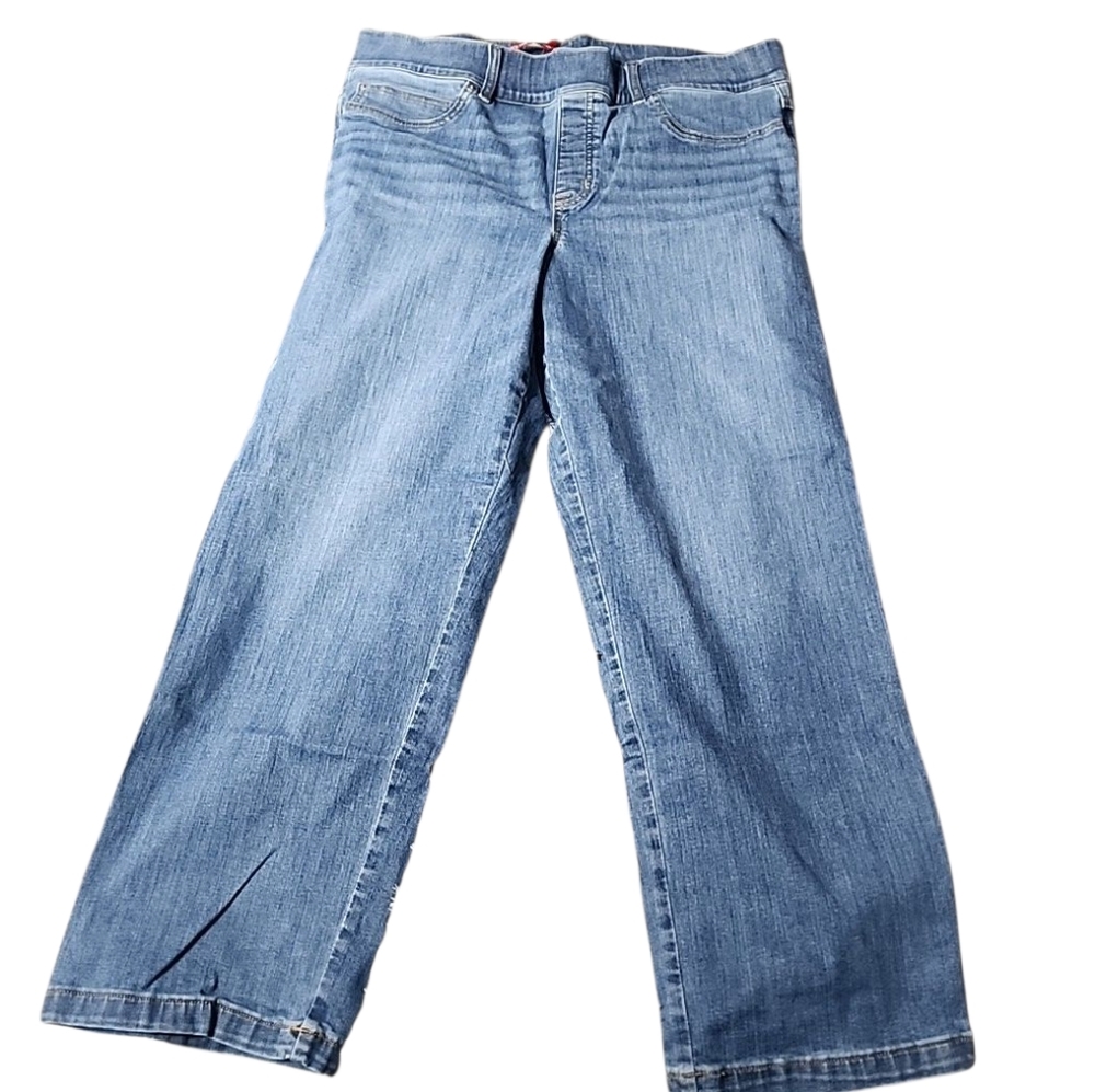 Spanx Pull On Stretch Jeans. Size 2x